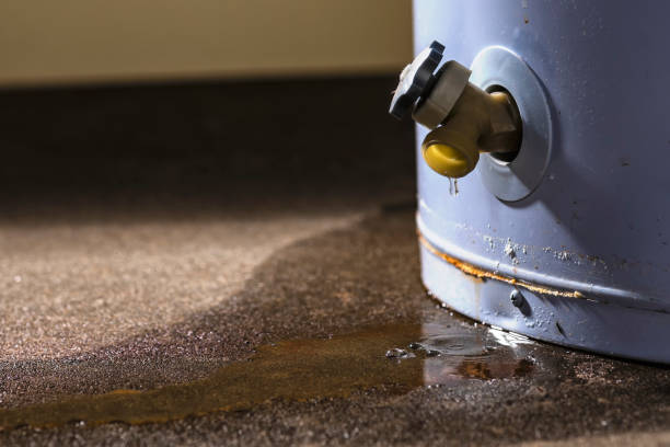 Carpet water damage restoration in Glenshaw, PA