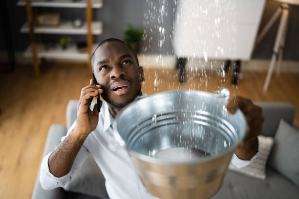 Best Ceiling water damage repair  in Glenshaw, PA