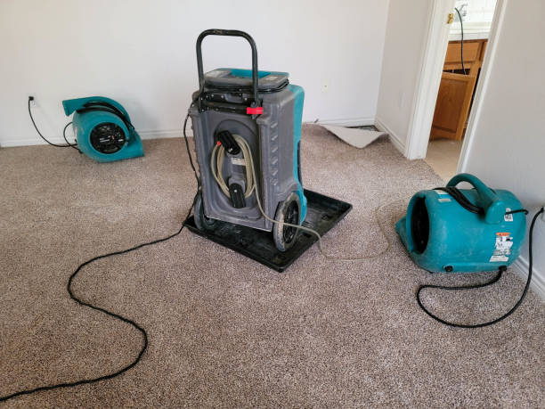 Water damage restoration insurance claims in Glenshaw, PA