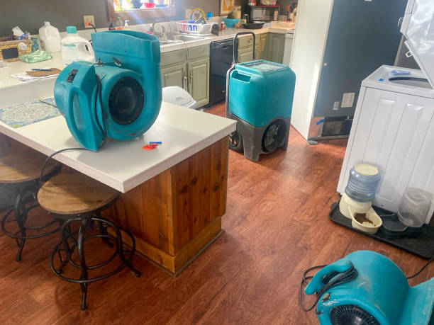 Best Water damage restoration near me  in Glenshaw, PA