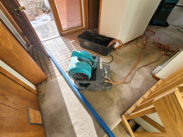 Best Water damage contractors near me  in Glenshaw, PA