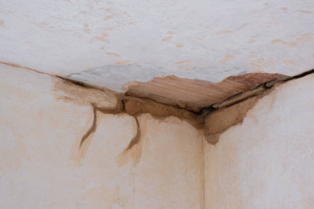  Glenshaw, PA Water damage restoration Pros