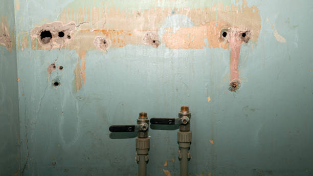 Best Carpet water damage restoration  in Glenshaw, PA
